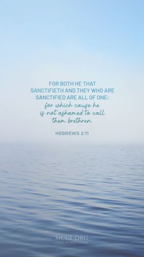 For both he that sanctifieth and they who are sanctified are all of one: for which cause he is not ashamed to call them brethren, - Hebrews 2:11  (Phone)